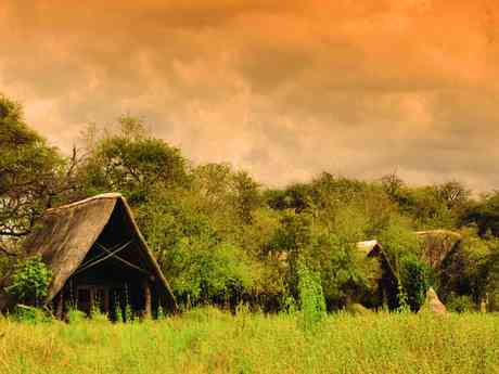 The Hide